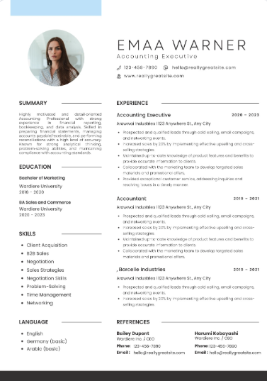 Professional CV Sample 34